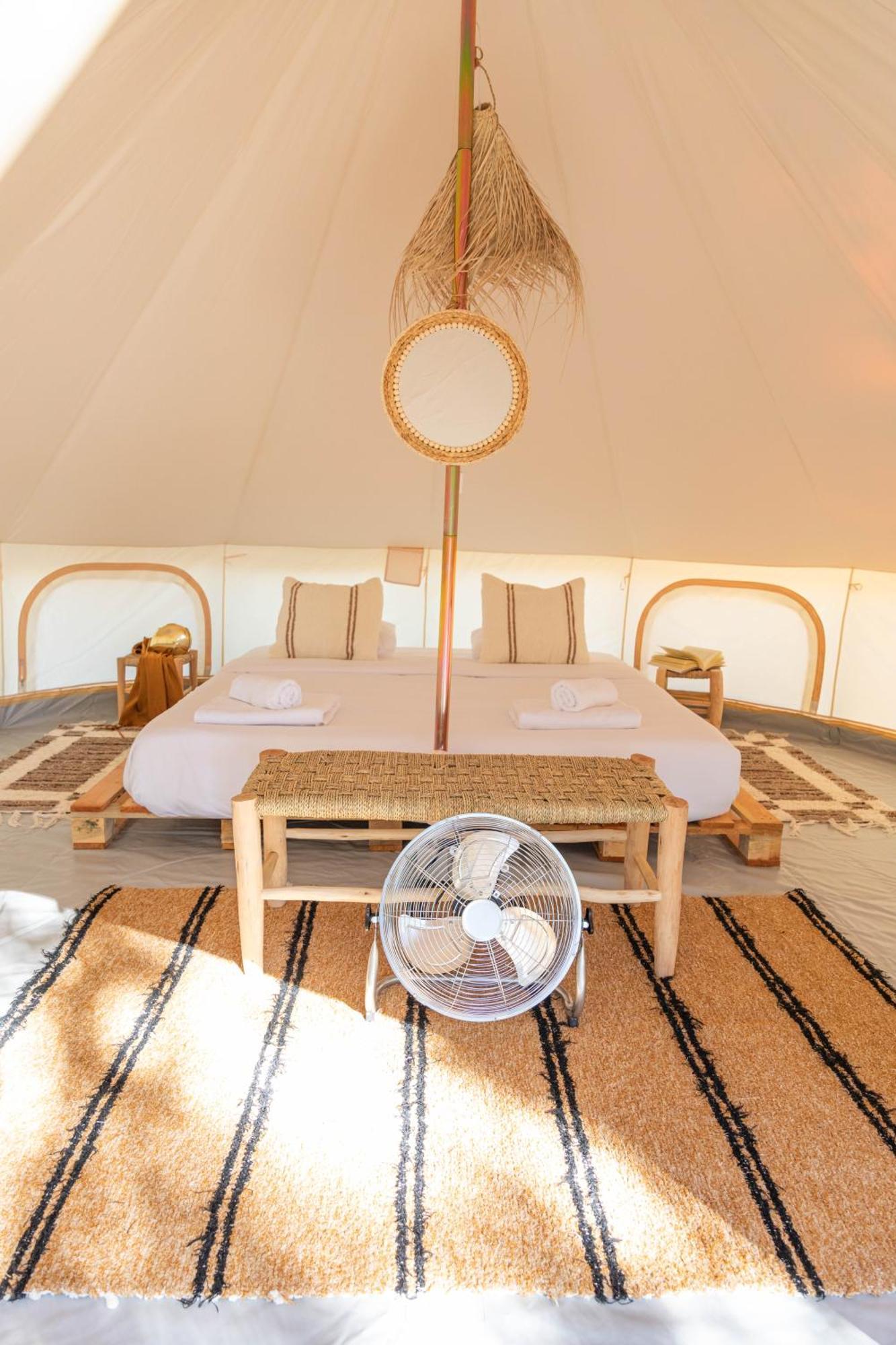 Holacamp البوفيرا المظهر الخارجي الصورة
