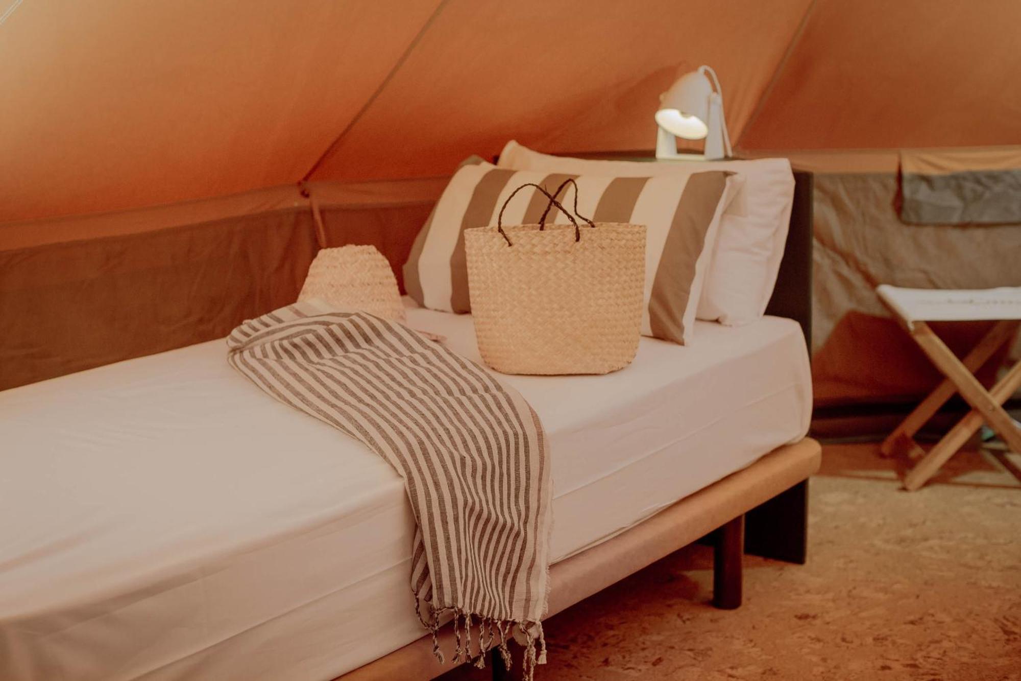 Holacamp البوفيرا المظهر الخارجي الصورة